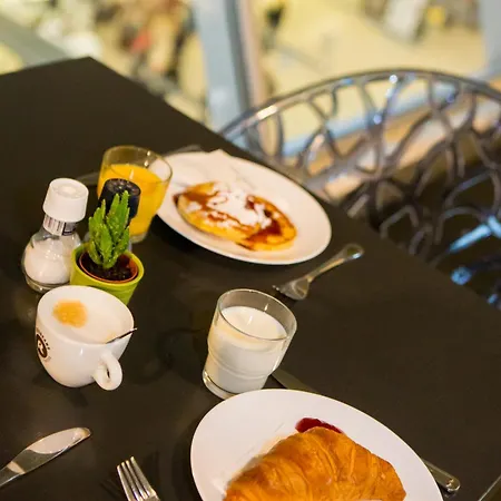 Tulip Airport מלון