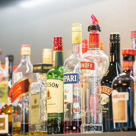 埃因霍温机场郁金香酒店 埃因霍温